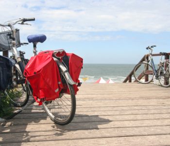 Borse laterali per bici guida all'acquisto